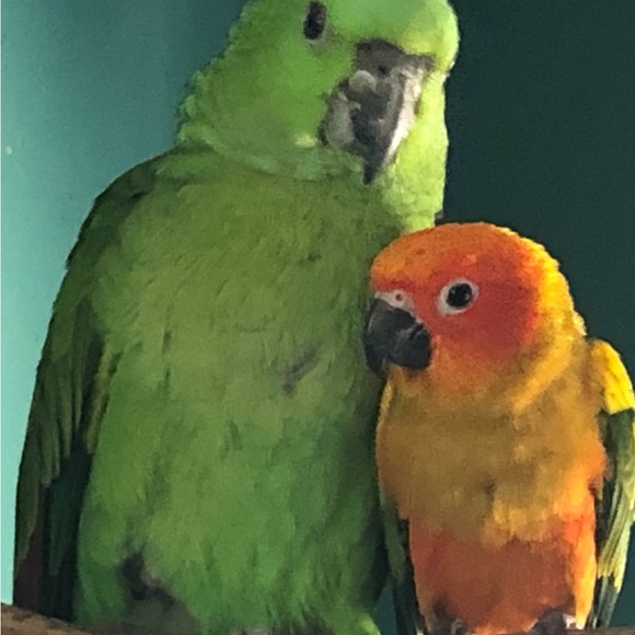 Meet your Posher, Audrey - Picture 3 of 14